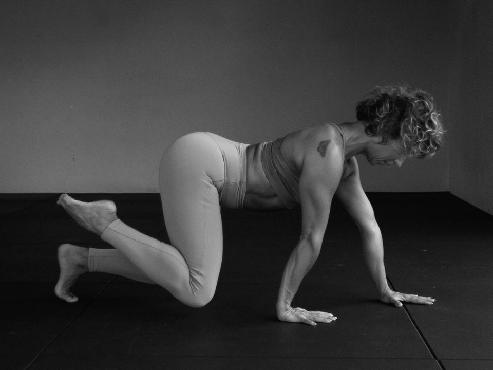 animal flow out-in fit cambrils